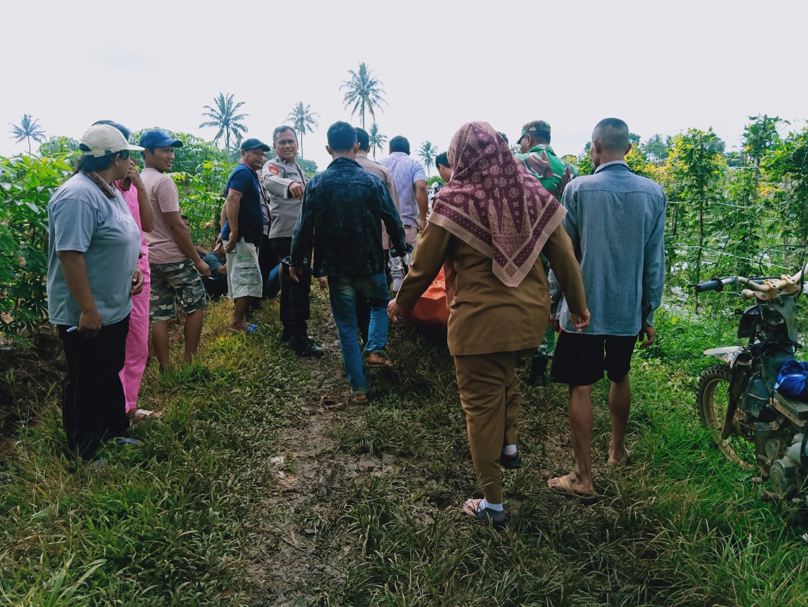 Geger, Warga Lampung Tengah Ditemukan Gantung Diri Di Perkebunan Pringsewu
