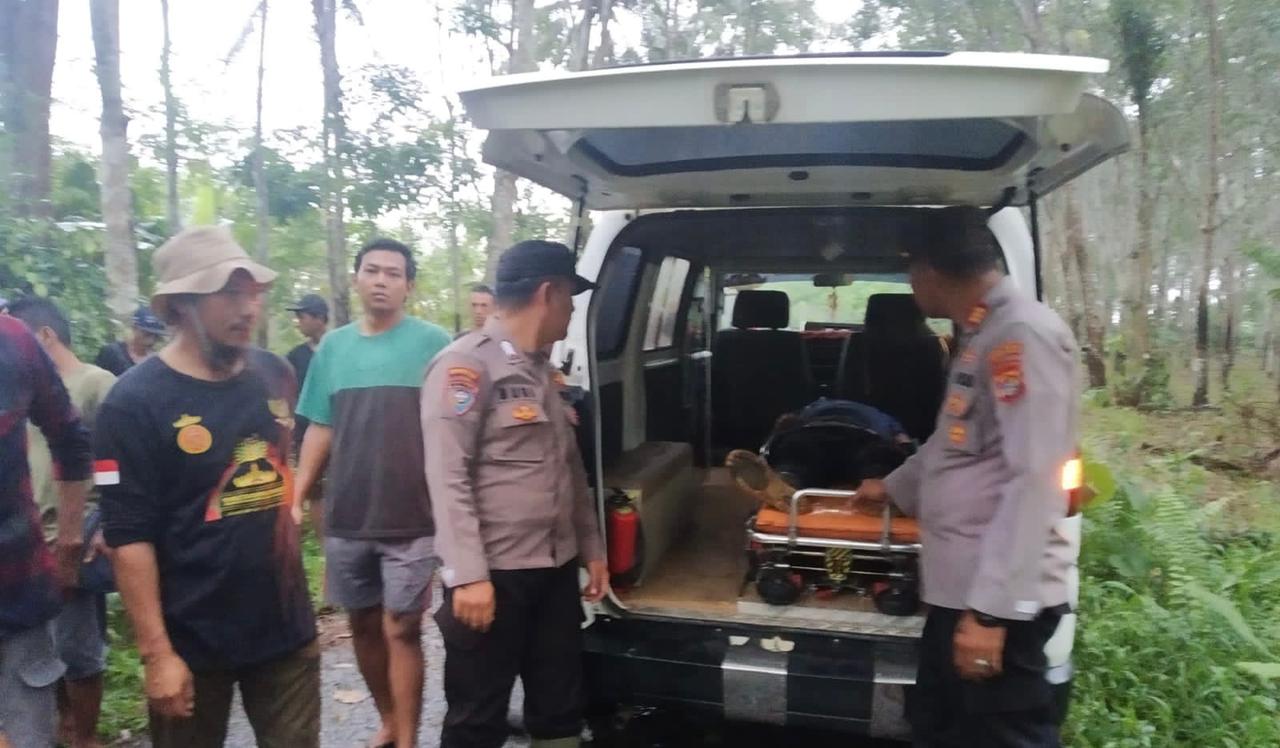 Polsek Pulau Panggung Identifikasi dan Evakuasi Korban Tertimpa Kayu Yang Diangkut Motor