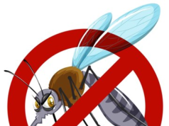 Dinkes Depok Ingatkan Masyarakat Waspada DBD, Lakukan PSN