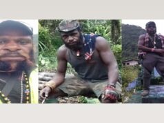 Catatan Kriminal Abu Bakar Kogoya Alias Abu Bakar Tabuni, Yang di Tembak Mati Satgas Damai Cartenz