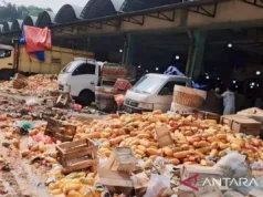 Pedagang Buang 10 Ton Pepaya di Pasar Kramat Jati karena Harga Anjlok