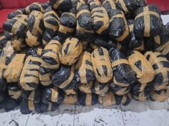 300 Kg Ganja Siap Edar di Nagan Raya Berhasil disita Polisi