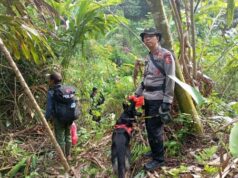 Polisi Tangkap Pelaku Pemburuan Badak Jawa di Taman Nasional Ujung Kulon